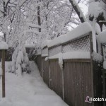 Feb 2010 Snowstorm