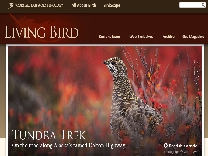 Living Bird