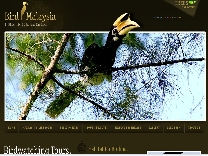 Bird-Malaysia