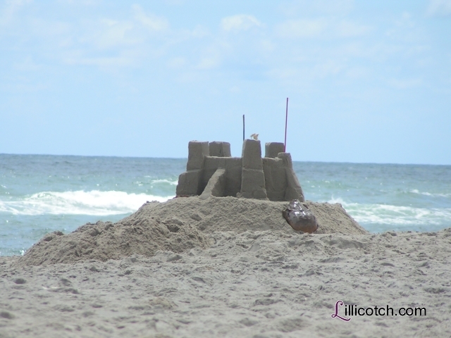 Hatteras Sandcastle