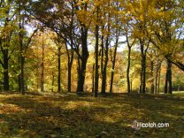 Fall Highland Park