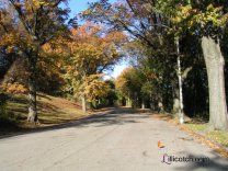 Fall Highland Park