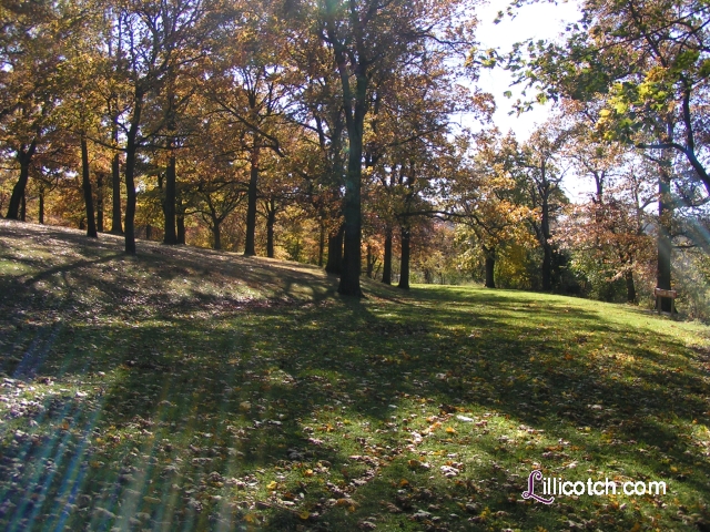 Highland Park