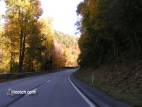 A Fall Drive