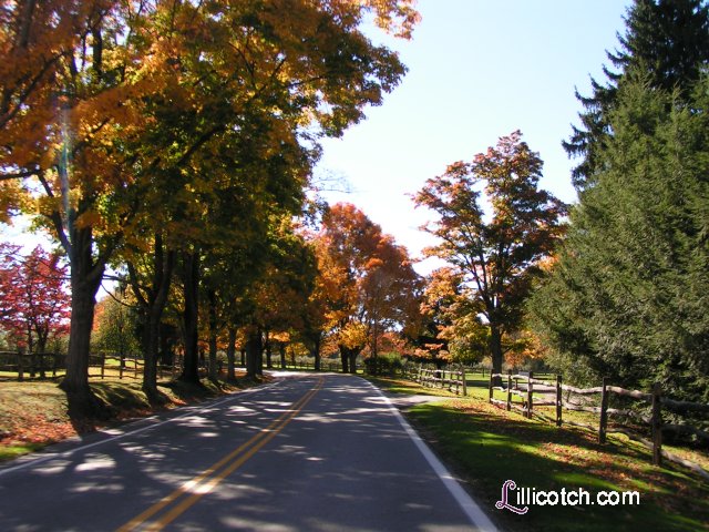 PA Laurel Highlands