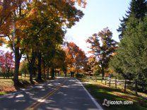 A Fall Drive