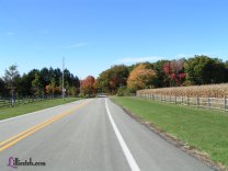 A Fall Drive