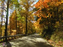 A Fall Drive