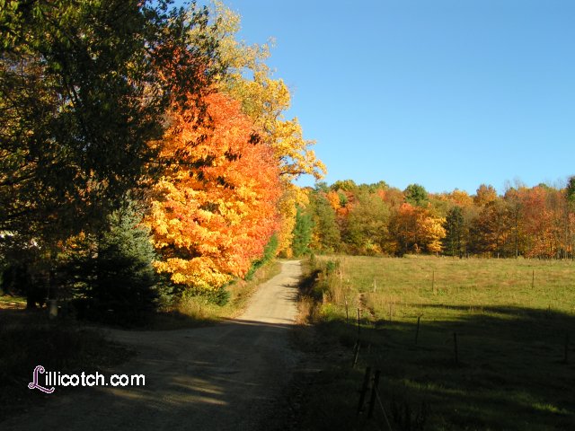 PA Laurel Highlands