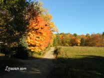 A Fall Drive