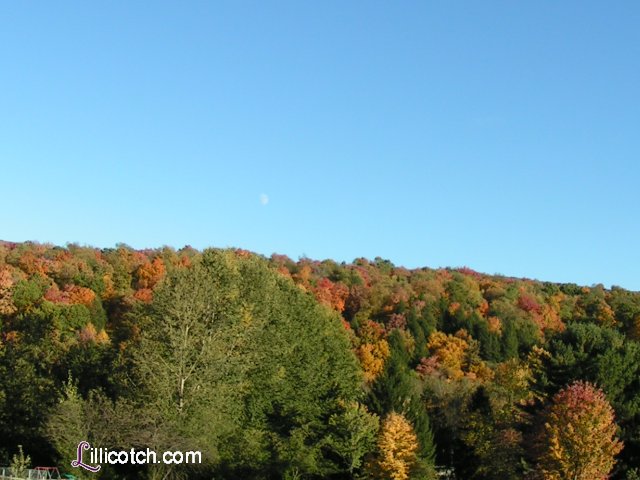 PA Laurel Highlands