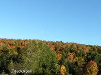 A Fall Drive