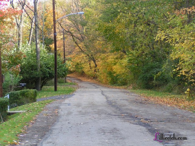 The fall in Western PA 