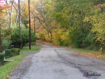 A Fall Walk