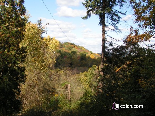 The fall in Western PA 