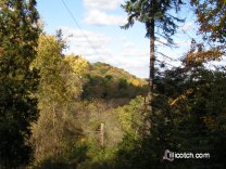 A Fall Walk