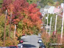 A Fall Walk