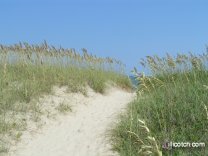 A Cool View of the Beach