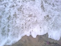 Hatteras Vacation
