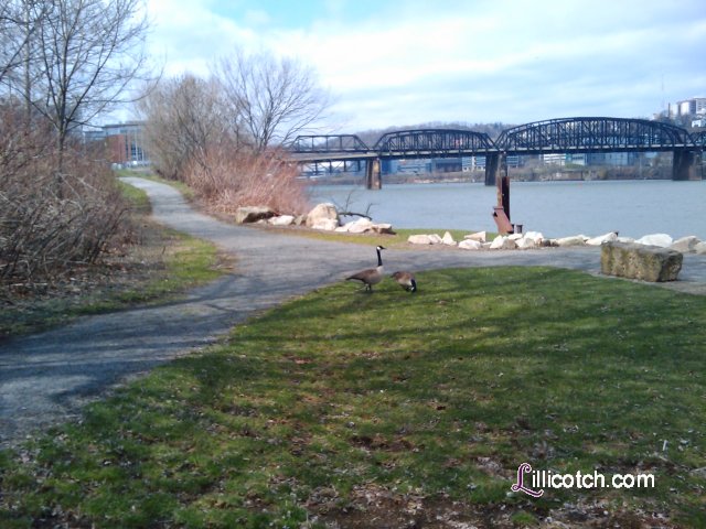 Walk along the Monongahela River