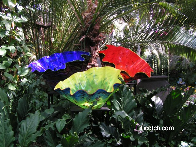 2009 Spring Flower Show