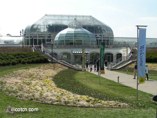 2009 Spring Flower Show