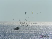 Hatteras Vacation