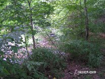 PA Laurel Highlands