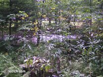 PA Laurel Highlands