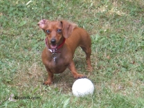 Lucy Soccer Star