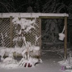 Feb 2010 Snowstorm