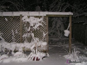 Feb 2010 Snowstorm
