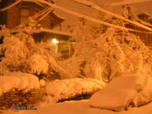 Feb 2010 Snowstorm