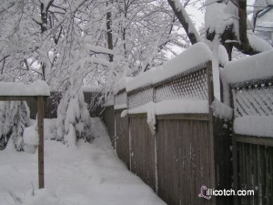 Feb 2010 Snowstorm