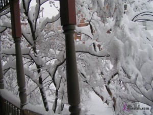 Feb 2010 Snowstorm