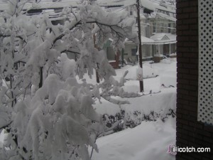Feb 2010 Snowstorm