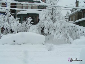 Feb 2010 Snowstorm