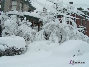 Feb 2010 Snowstorm