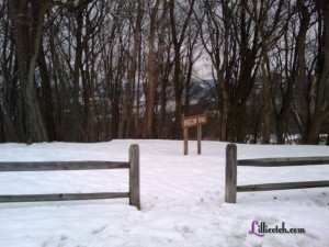 Winter in Pittsburgh