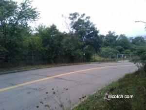 Pittsburgh Zoo - New Exhibit - Top of the World